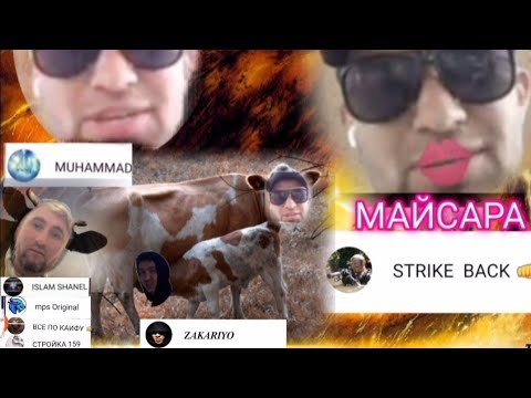 боз як мулои зинокоро капидан2023