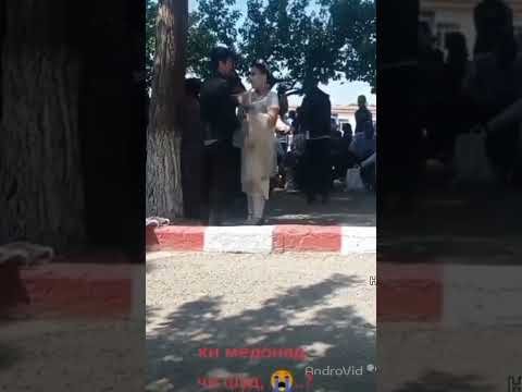 Келунчаки зинокоро қапидан.