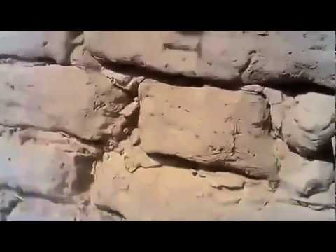 Муллора КАПИДАН