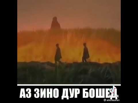 ХОЧИ МИРЗО БАРОЙИ ЗИНОКОРО