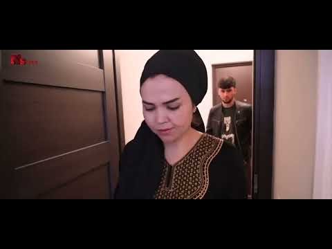 ШОН мс — ЗИНОКОРО (АРХИВ)